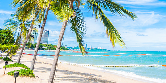 palmbeach
